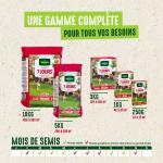 7 jours, pousse rapide - Gazon 7 jours - 250 g - image
